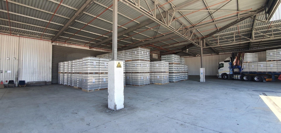 To Let commercial Property for Rent in Parow Industrial Western Cape